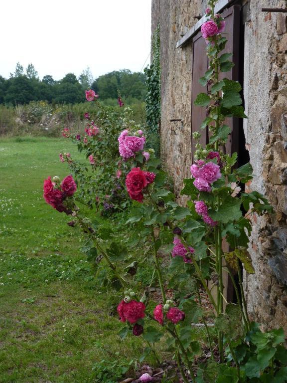 Chambres D'Hotes Le Chateau Rouge Saint-Germain-sur-Moine Εξωτερικό φωτογραφία